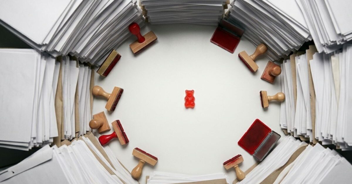 書類に囲まれたCBNグミの製品イメージ、指定薬物規制施行確定を示す