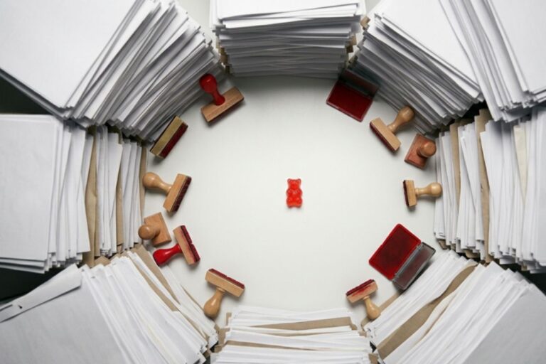 書類に囲まれたCBNグミの製品イメージ、指定薬物規制施行確定を示す
