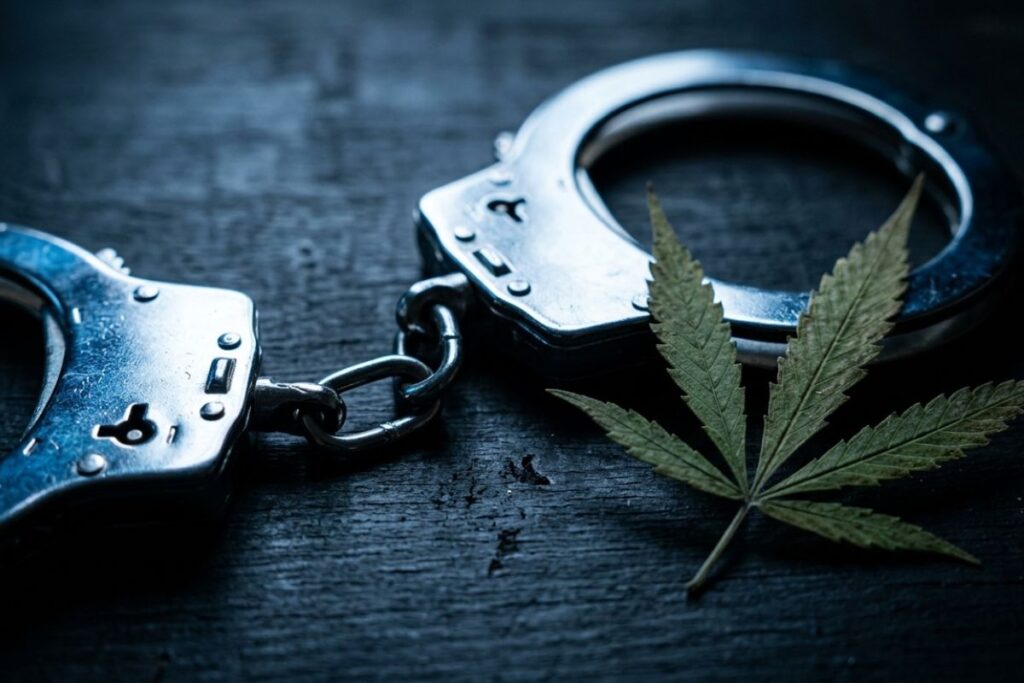 大きく開いたゲートへ向かう多様な人々のシルエット、大麻摘発と業界の構造変化を象徴するイメージ