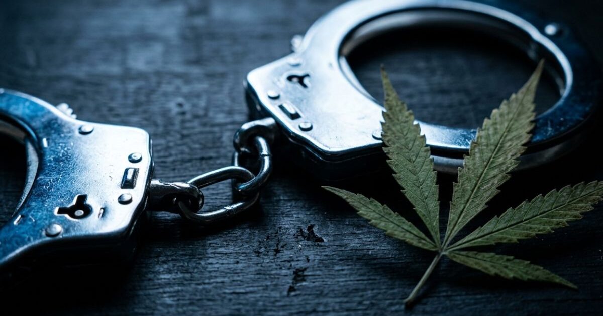 大きく開いたゲートへ向かう多様な人々のシルエット、大麻摘発と業界の構造変化を象徴するイメージ