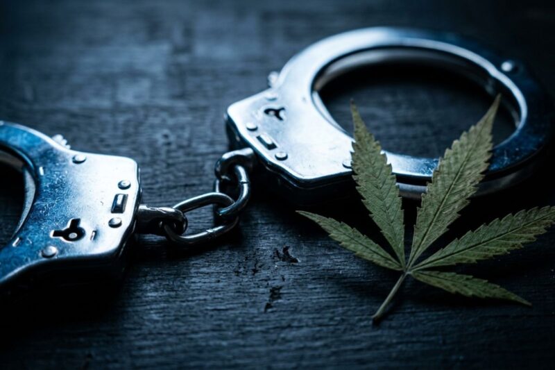 大きく開いたゲートへ向かう多様な人々のシルエット、大麻摘発と業界の構造変化を象徴するイメージ