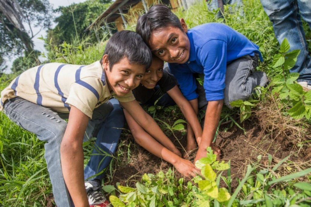 緑豊かな草地で、3人の笑顔の少年たちが土に手を入れて小さな植物を植えたり世話をしたりしている様子。ストライプのシャツ、青いシャツを着た男の子たちがカメラに向かって微笑んでいる屋外の写真