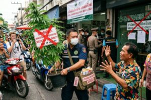 タイのストリートで、マスクをした取締官が「STAMPED: MEDICAL USE ONLY! - MIN. OF HEALTH」と赤い×印が描かれた看板を付けた大麻の鉢植えを押収している様子。手前には手を挙げて抗議または動揺する男性がおり、奥には他の警察官や規制を伝える横断幕が見える。