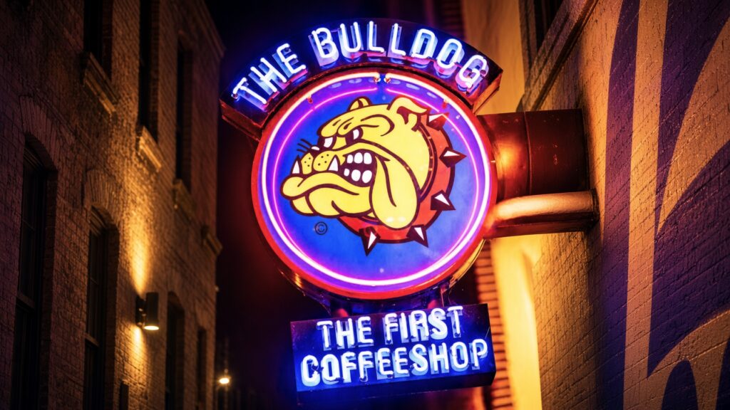 夜の建物に取り付けられたネオンサイン。上部に青とピンクのアーチ型文字「THE BULLDOG」、中央に黄色いブルドッグの顔が描かれた円形サイン（赤い首輪にトゲ）、下部に青白い文字「THE FIRST COFFEESHOP」。周囲は暗い建物の壁と暖かい照明で照らされている。