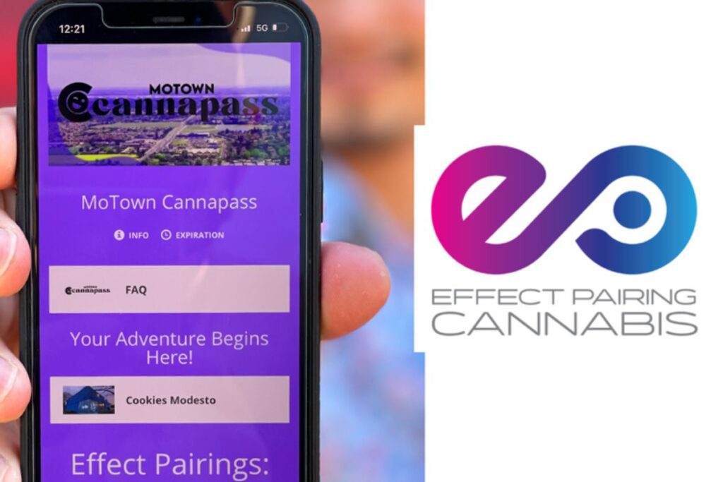 左手で持った黒いスマートフォンに表示された紫色の「MoTown Cannapass」アプリ画面。上部にロゴと航空写真、INFO・EXPIRATION・FAQボタン、「Your Adventure Begins Here!」の文字、Cookies Modestoの店舗画像、下部にEffect Pairingsの表示がある。右側は白い背景にマゼンタから青へのグラデーションのインフィニティシンボルロゴと「EFFECT PAIRING CANNABIS」の文字。