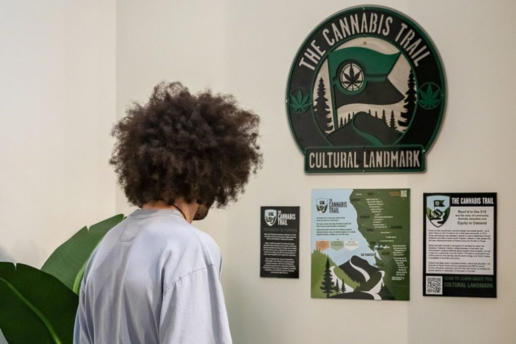 アフロヘアの男性が後ろ向きに立ち、白い壁に飾られた「THE CANNABIS TRAIL CULTURAL LANDMARK」の大きな円形グリーンサインを見ている室内写真。サインには山、松、旗、大麻の葉のデザイン。その下に3枚の説明パネル（地図付きインフォグラフィックと文章）が並び、左側に大きな緑の観葉植物がある。
